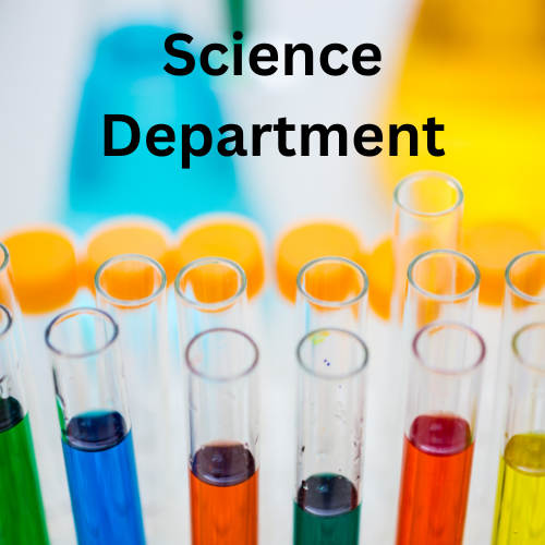 Test tubes with colourful liquid in them