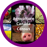 Button Agriculture Canada Census